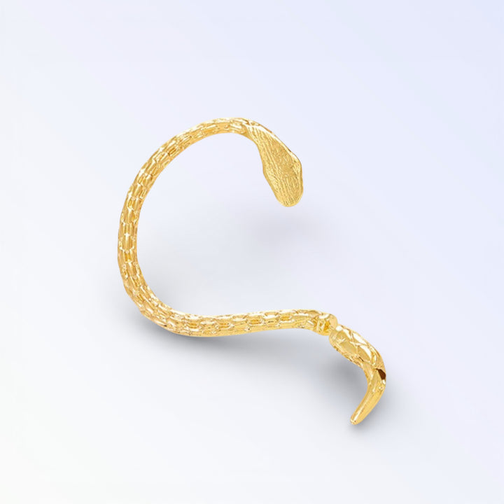 Pendientes de serpiente