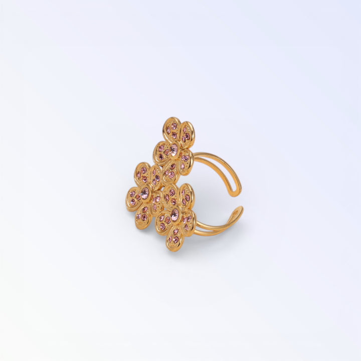 Anillo de PERPIGNAN
